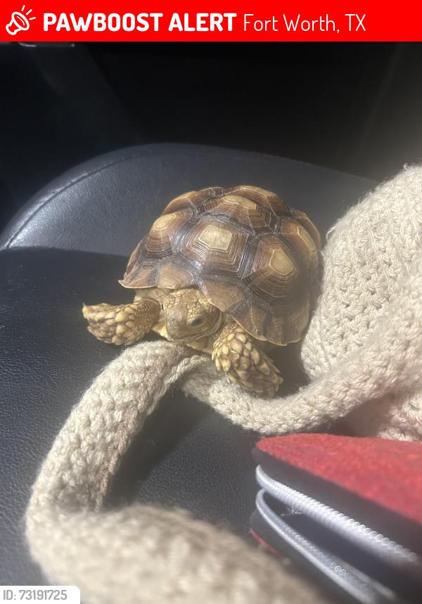 Lost Male Other last seen Fort Worth, Fort Worth, TX 76134