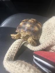 Lost Male Other last seen Fort Worth, Fort Worth, TX 76134