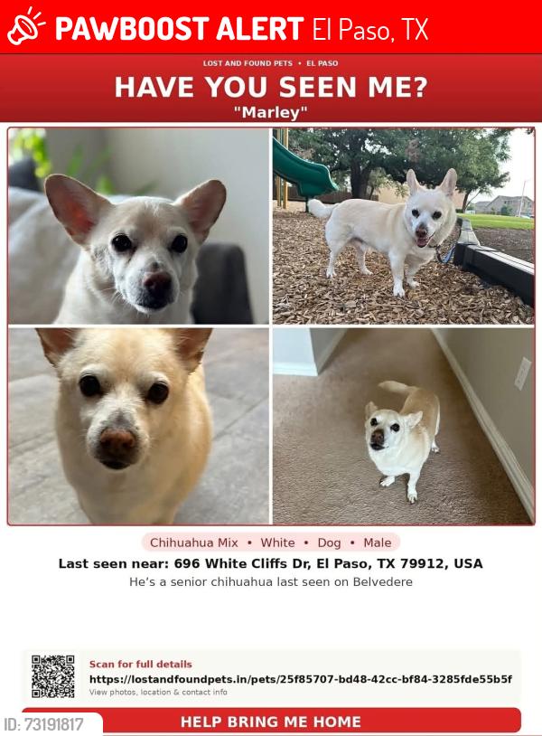 Lost Male Dog last seen WhitebCliffs & Resler/Orizaba, El Paso, TX 79912