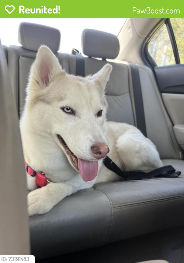 Reunited Female Dog last seen Memorial Dr, Red Bank, TN 37415