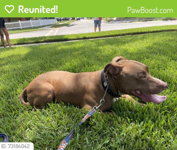 Reunited Male Dog last seen 122nd Way and 94th, Seminole, FL 33772