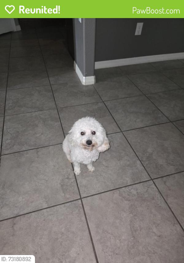 Reunited Male Dog last seen Ruskin Preserve, Ruskin, FL 33570