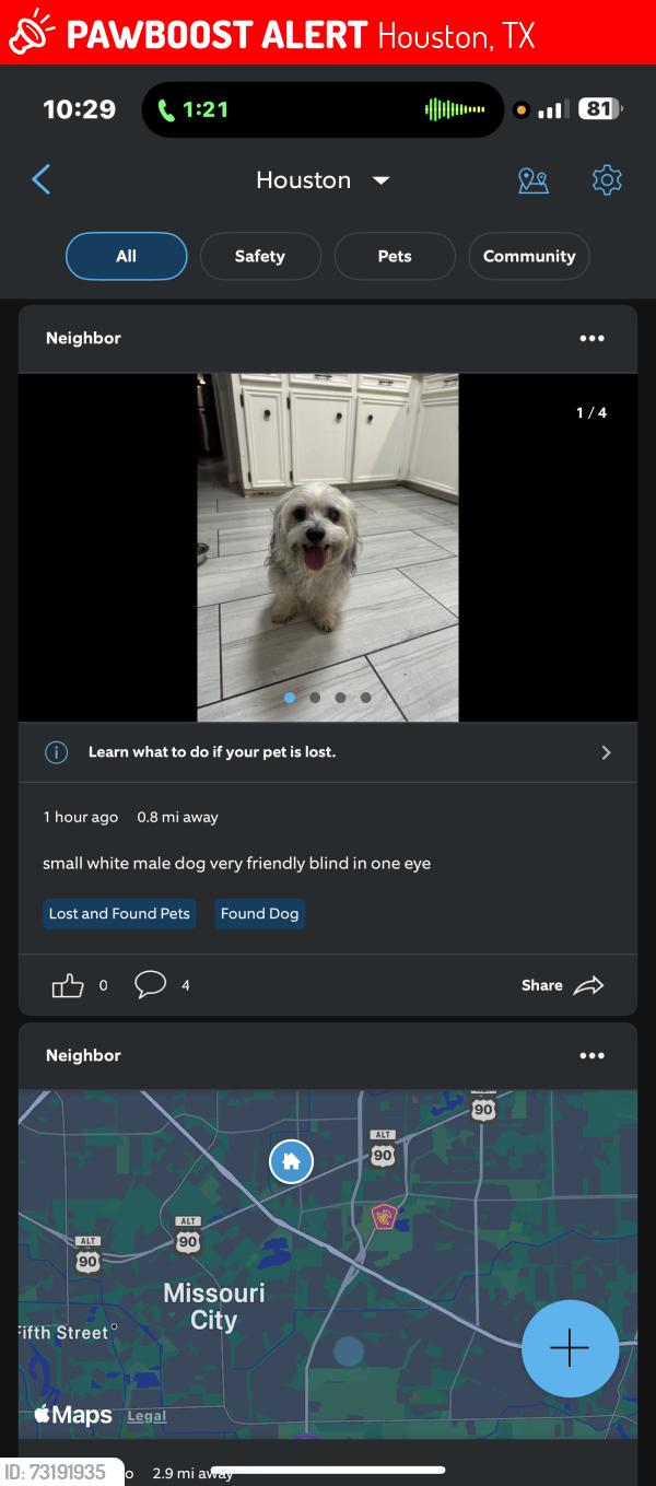 Lost Male Dog last seen Kitty Brook drive and secretariat ln, Houston, TX 77071