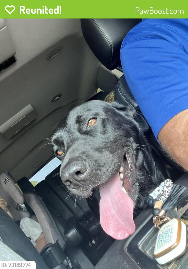 Reunited Male Dog last seen Ashton Oaks, CR 208, CR 214, St. Augustine, FL 32092