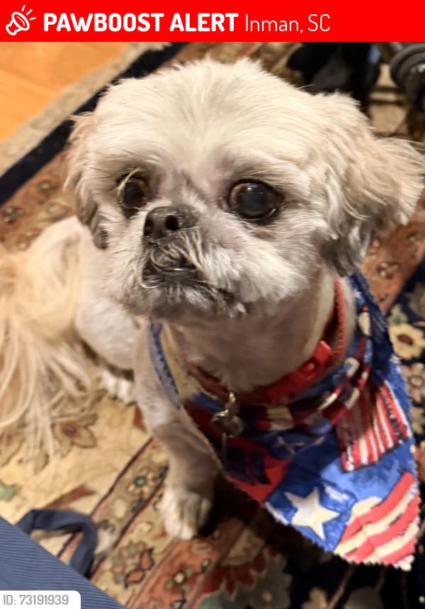Lost Male Dog last seen Creature comforts, Inman, SC 29349