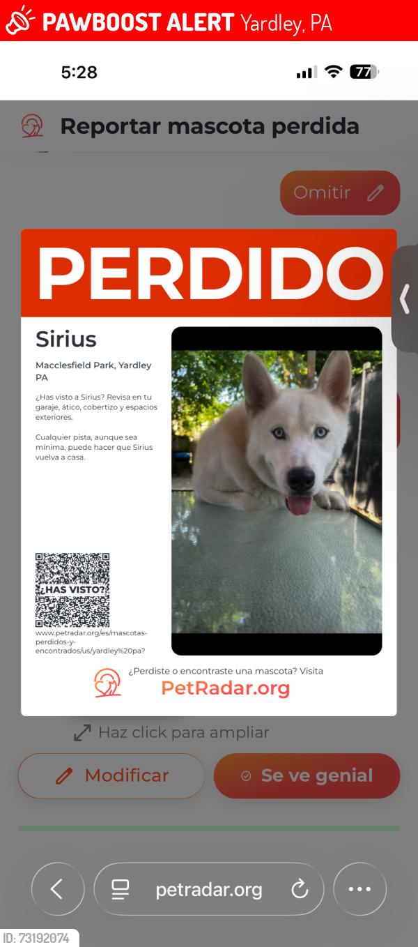 Lost Male Dog last seen Near 1000 River Rd, Yardley, PA 19067,, Yardley, PA 08628