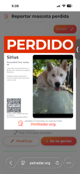 Lost Male Dog last seen Near 1000 River Rd, Yardley, PA 19067,, Yardley, PA 08628