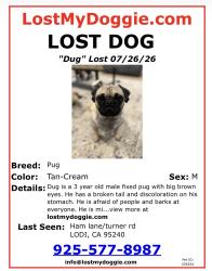 Reunited Male Dog last seen Ham ln/turner rd lodi, Lodi, CA 95240