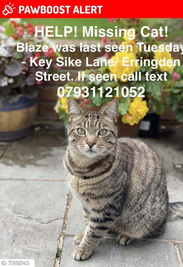 Lost Male Cat last seen Shell garage, West Yorkshire, England 