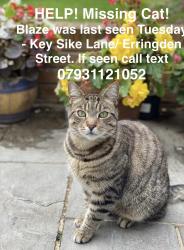 Lost Male Cat last seen Shell garage, West Yorkshire, England 