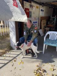 Lost Male Dog last seen Montwood and Lomaland, El Paso, TX 79935