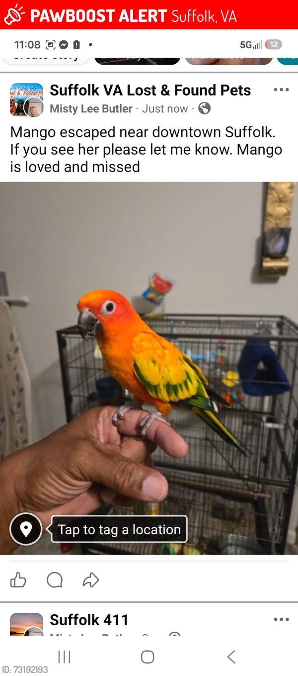 Lost Unknown Bird last seen Farm bureau insurance, Suffolk, VA 23434