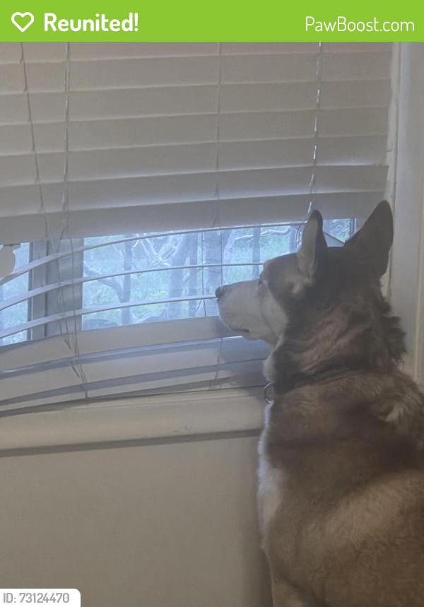 Reunited Male Dog last seen Near S Adams St, Midvale, UT 84047, USA, Midvale, UT 84047