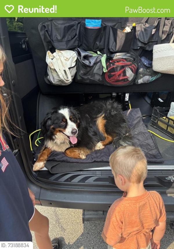 Reunited Male Dog last seen Locust ave, Charlottesville, VA 22901
