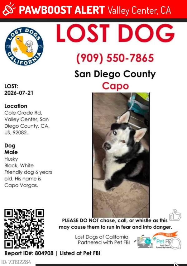 Lost Male Dog last seen Near Cole Grade Rd, Valley Center, CA 92082