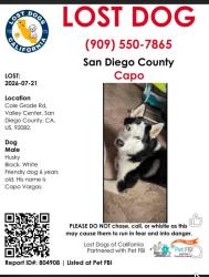 Lost Male Dog last seen Near Cole Grade Rd, Valley Center, CA 92082