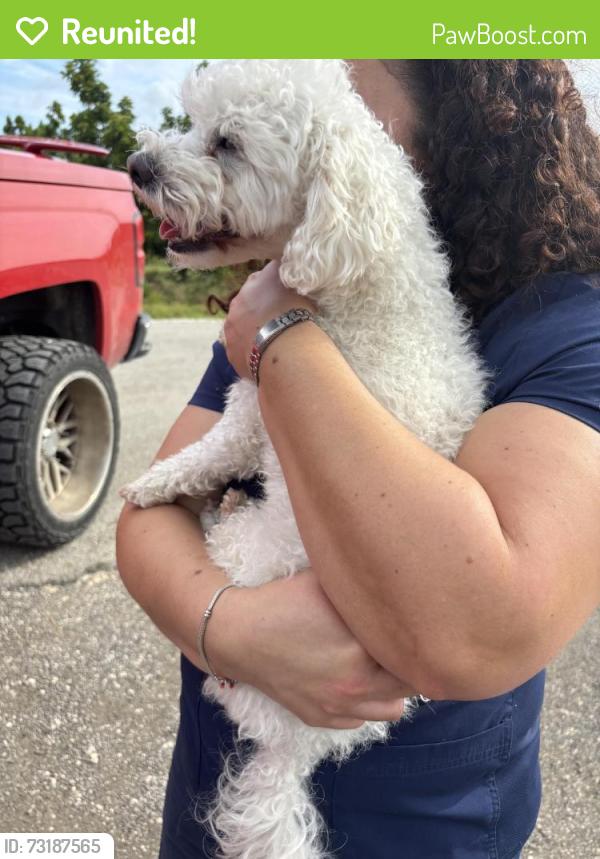 Reunited Male Dog last seen Near, Homestead, FL 33034