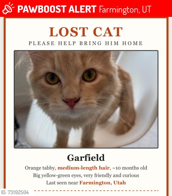 Lost Male Cat last seen Burke Lane, Farmington, UT 84025