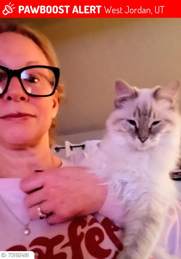 Lost Female Cat last seen Copper 87, West Jordan, UT 84084