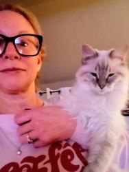 Lost Female Cat last seen Copper 87, West Jordan, UT 84084