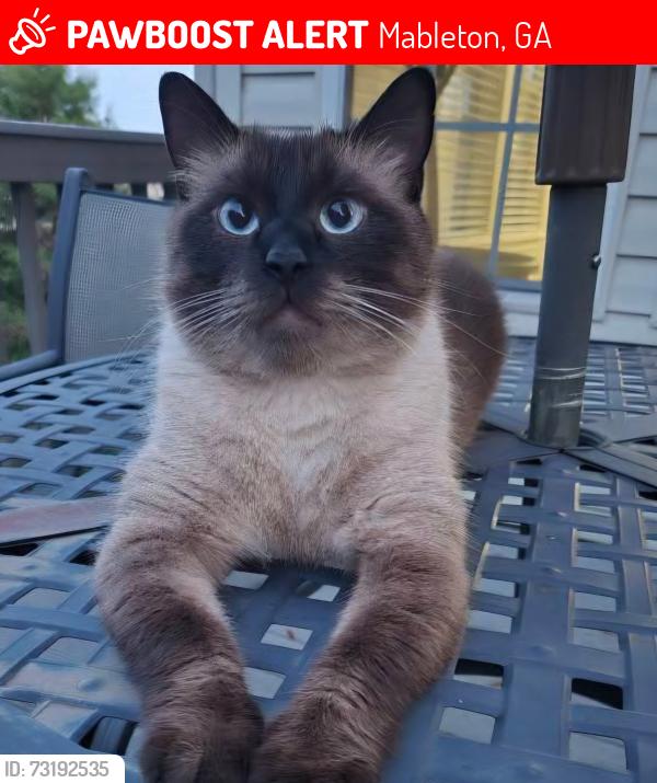 Lost Male Cat last seen Buckner Rd, Mableton, GA 30126