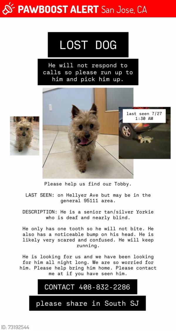 Lost Male Dog last seen Near hellyer ave, San Jose, CA 95111