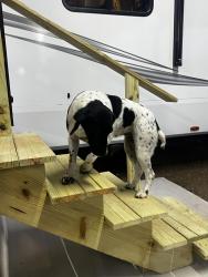 Lost Female Dog last seen Novatan Rd, Mobile, AL 36608