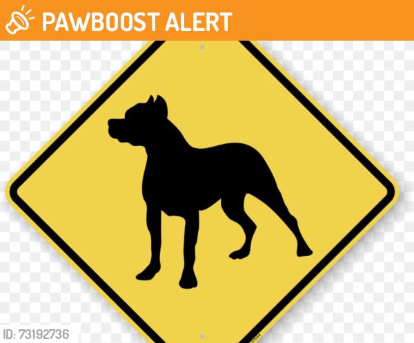 Found/Stray Male Dog last seen Conway Black Rd., Spartanburg County, SC 29307