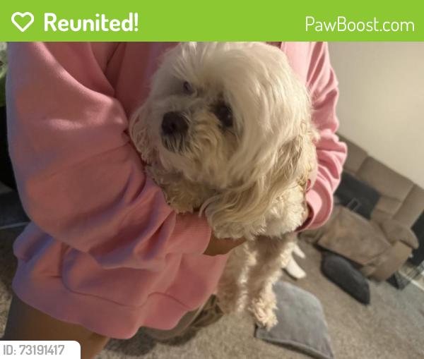 Reunited Female Dog last seen N 61 nash, Milwaukee, WI 53216