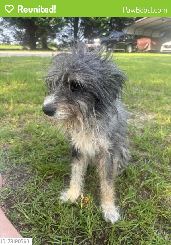 Reunited Male Dog last seen Hwy 42 & Amgan Dr, Wake County, NC 27592