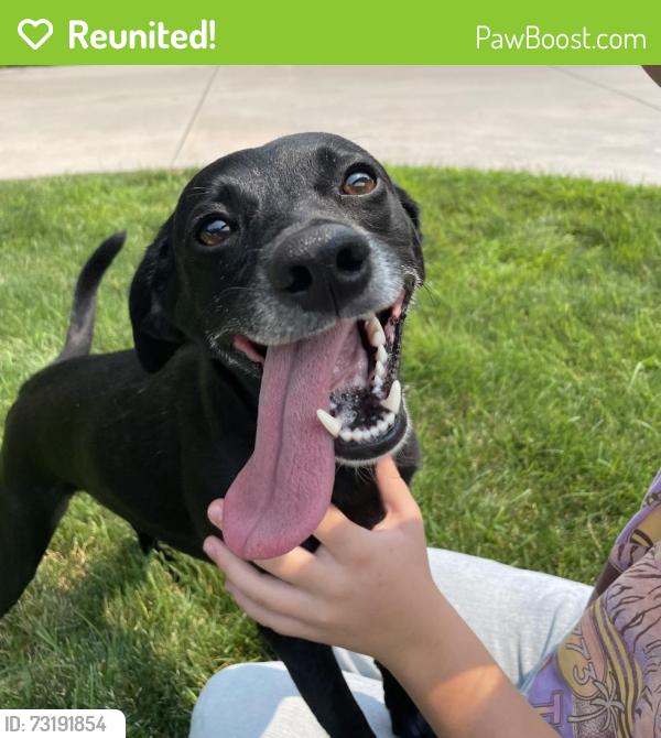 Reunited Female Dog last seen Cloverdale & Ustick, Boise, ID 83713