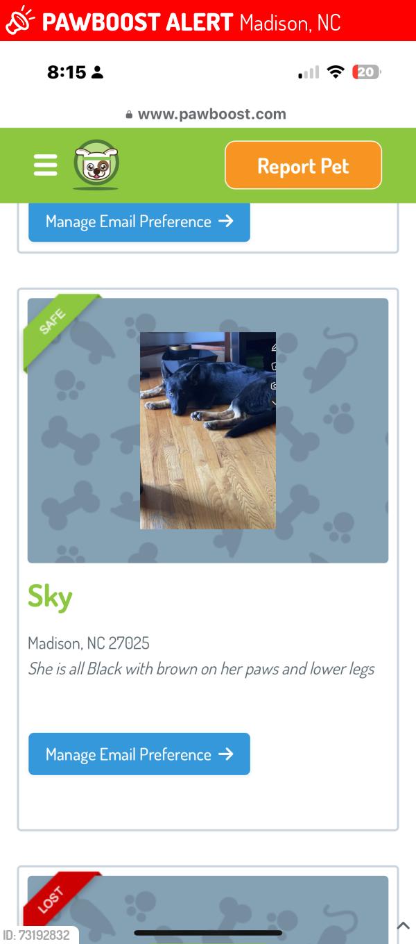 Lost Female Dog last seen K fork road, Madison, NC 27025