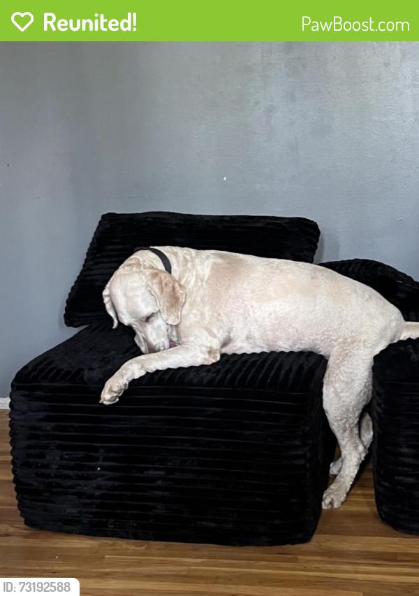 Reunited Male Dog last seen Near w Atherton, Taylorsville, UT 84123