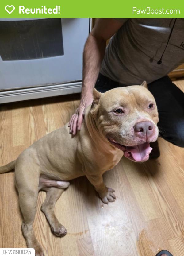 Reunited Male Dog last seen Leight st & Sprague st, Winston-Salem, NC 27107