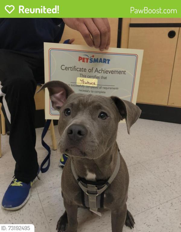 Reunited Male Dog last seen Dunnock ct, Richland County, SC 29229