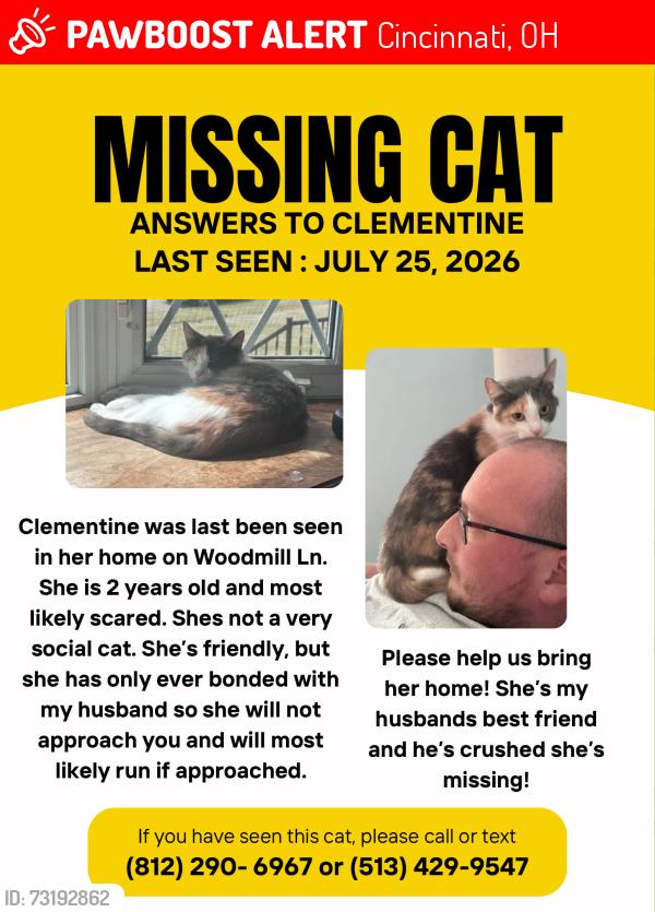 Lost Female Cat last seen Winton Road and the YMCA along Winton, Cincinnati, OH 45231