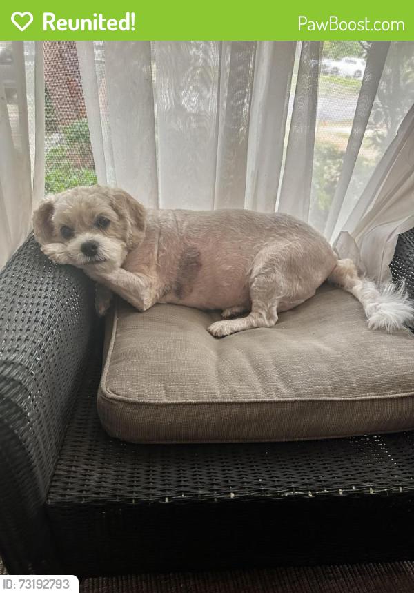 Reunited Female Dog last seen Monroe, Shandon, Holly, Columbia, SC 29205