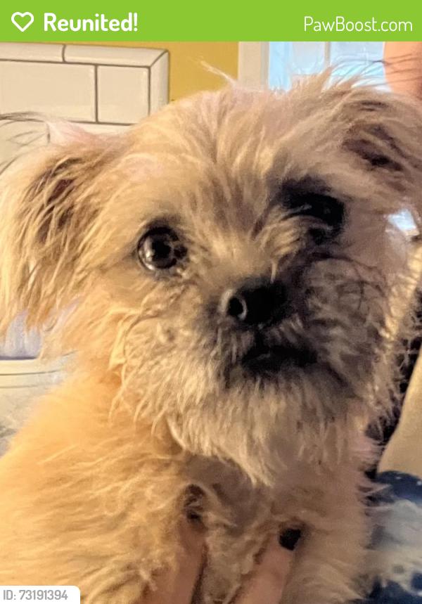 Reunited Female Dog last seen 35th st and San Pablo, Oakland, CA 94608