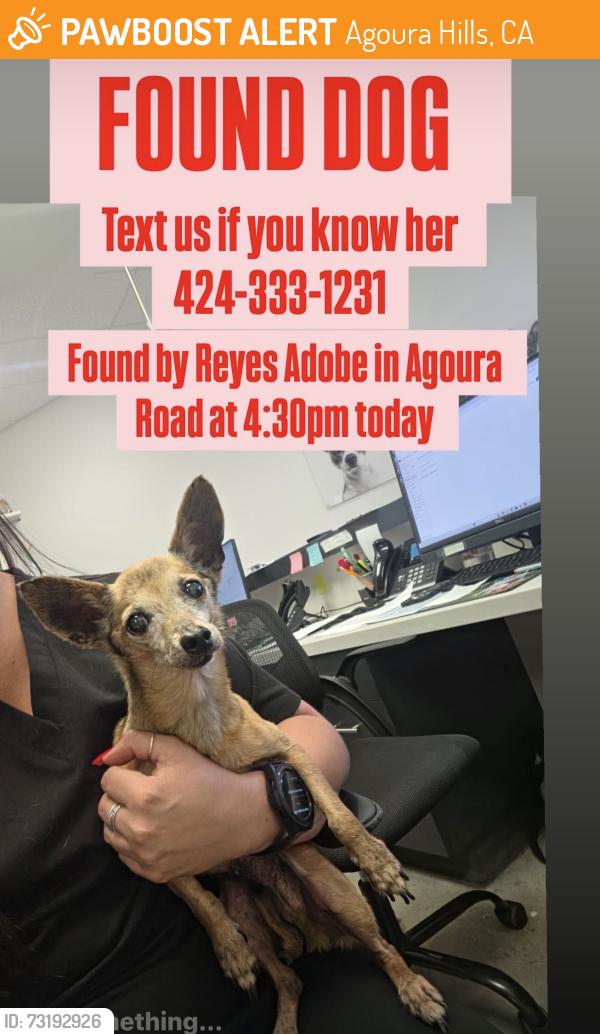 Found/Stray Female Dog last seen Reyes Adobe, Agoura Hills, CA 91301