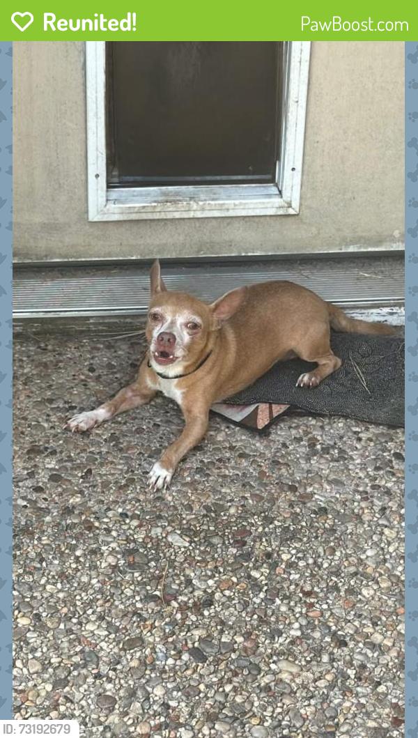 Reunited Male Dog last seen Near North Carolina Park, Conroe, TX 77302, USA, Conroe, TX 77302