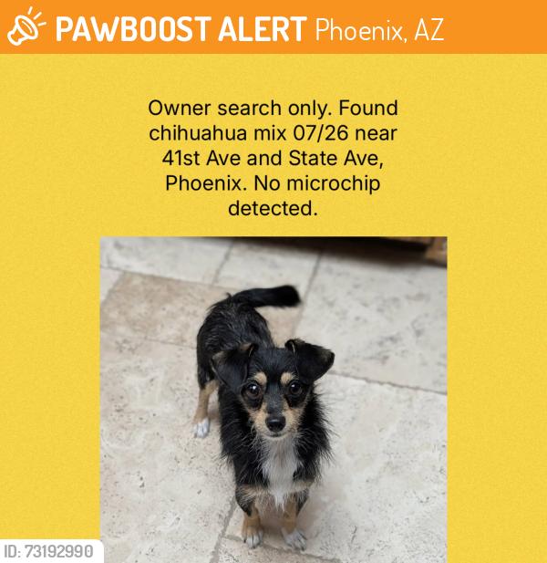 Found/Stray Unknown Dog last seen 41st and State Ave, Phoenix, AZ 85051