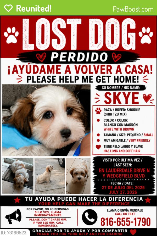 Reunited Male Dog last seen Lauderdale drive N, Jacksonville, FL 32277