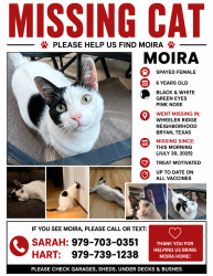 Reunited Female Cat last seen Green valley Drive /Briacrest/Boonville, Bryan, TX 77802