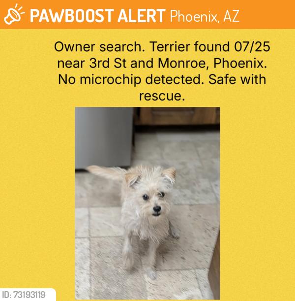 Found/Stray Unknown Dog last seen 3rd St and Monroe, Phoenix, AZ 85003