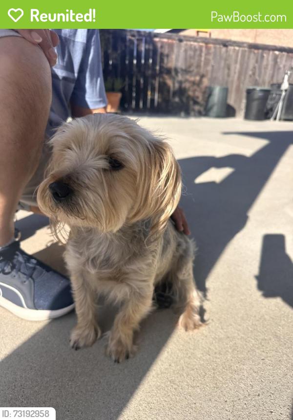 Reunited Male Dog last seen Madden Ct, San Diego, CA 92154, USA, San Diego, CA 92154