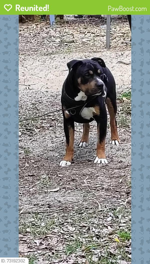 Reunited Male Dog last seen Ridge Rd., Antioch Rd, New Bern, NC 28560