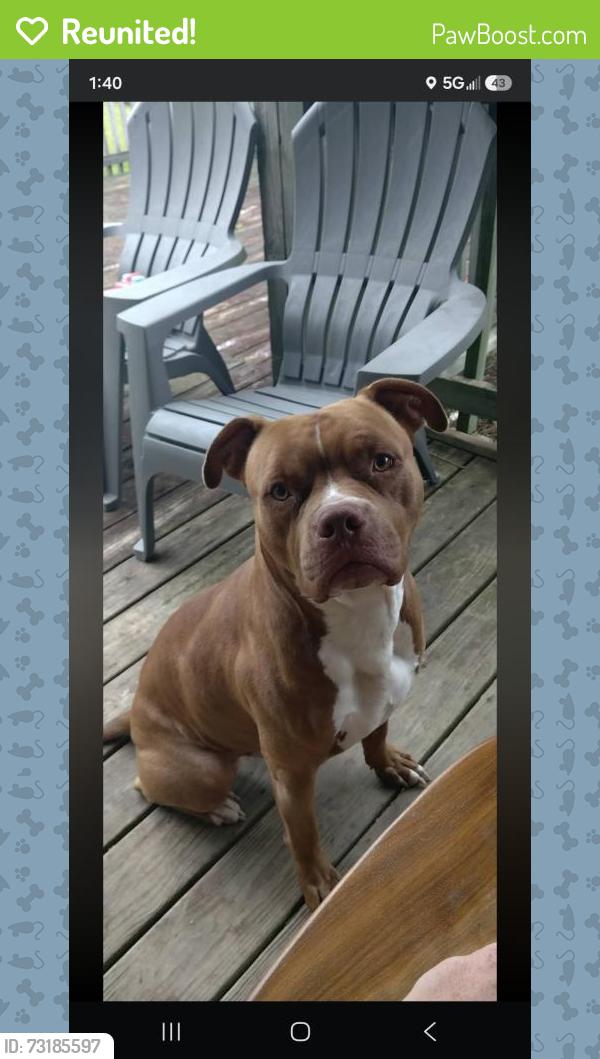 Reunited Male Dog last seen Town line road sussex wisconsin, Sussex, WI 53089