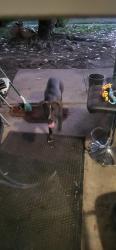Found/Stray Female Dog last seen Rooming around Conroy Street, Fort Worth, TX 76134