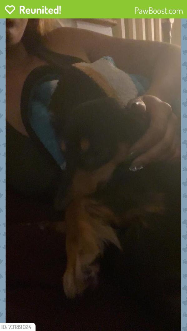 Reunited Male Dog last seen Devereux &, Philadelphia, PA 19149