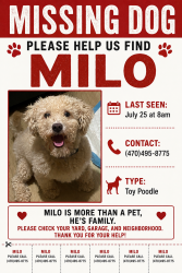 Lost Male Dog last seen Near Rhett butler dr, Jonesboro, GA 30236